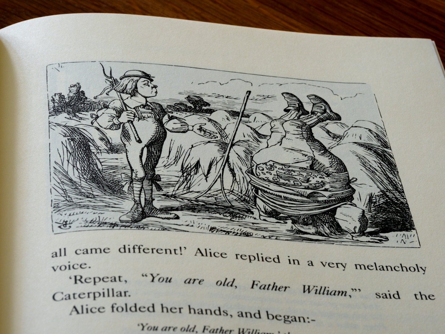 An open book on a wooden surface displays a whimsical illustration.
